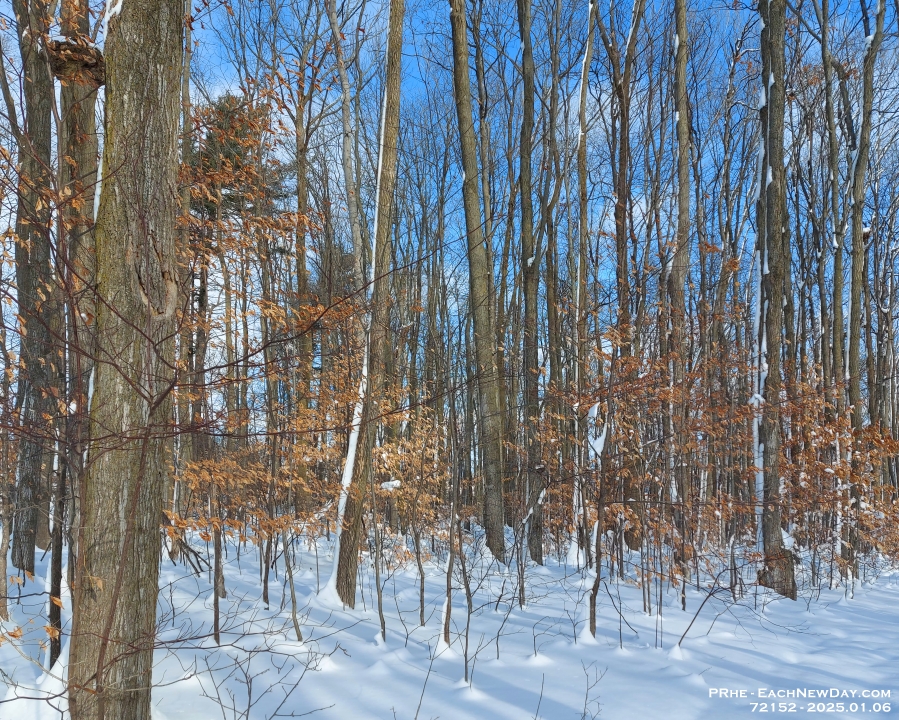 72152CrLe - Walking along a snowy trail in Westridge Park